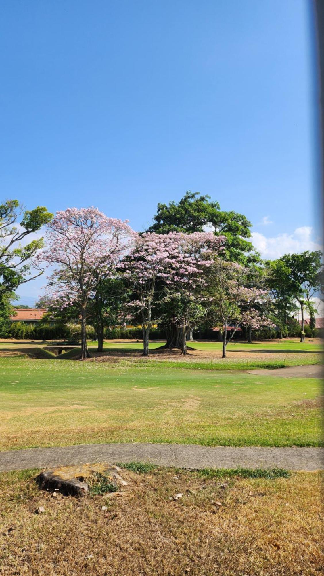 Bed and Breakfast La Casa de Cariari Al Golf Heredia Exterior foto